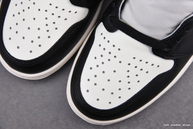 Rep LUCY DARK RETRO 1 MOCHA HIGH JORDAN 555088-105 AIR 0806